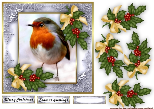 Christmas Robin & berries& golden bow
