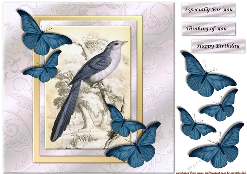 Vintage Bird & Butterflies