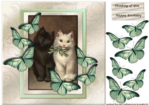 Vintage Kittens & Butterflies
