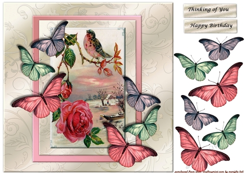 Vintage Birdie & Butterflies