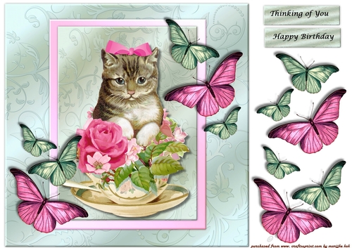 VintageKitten in teacup& Butterflies