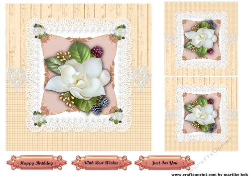 beautiful Camelias on Lace