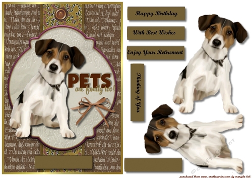Male card  Pets are family too !