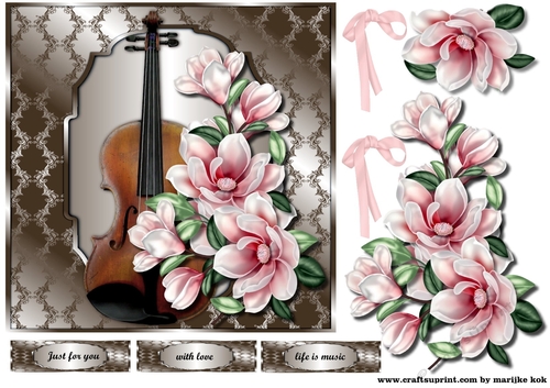   Music &   Pink Magnolia Blossoms