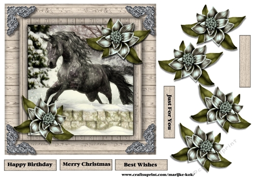 Male Card beautiful Horse & Winter Flowers 1