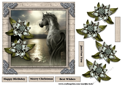 Male Card beautiful Horse & Winter Flowers 2