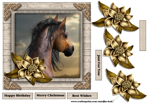 Male Card beautiful Horse & Winter Flowers 3