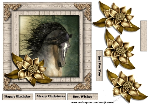 Male Card beautiful Horse & Winter Flowers 4
