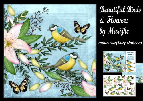 Beauiful Birds & Flowers