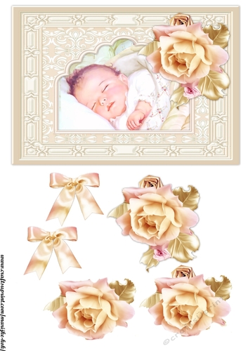 Vintage New baby  Girl Roses
