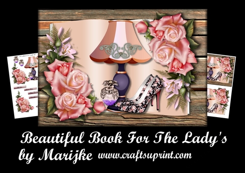 Beautiful Book For The Ladys