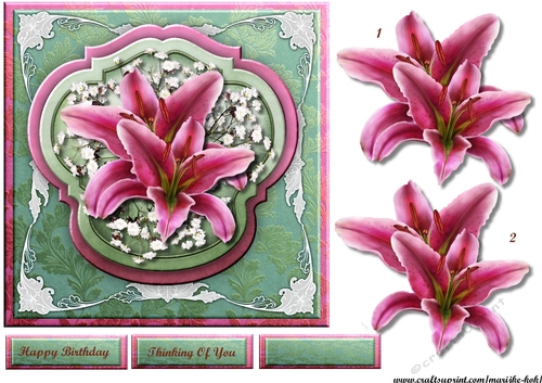 Beautiful Lilies