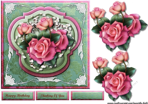 Beautiful Pink Roses