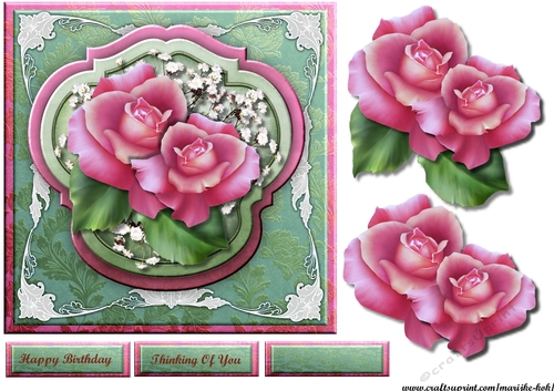 Beautiful Pink Roses 2