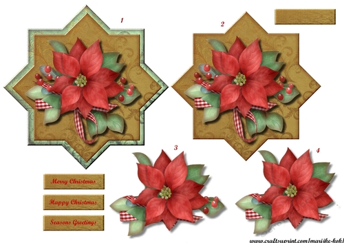 Star Card Topper Poinsettias
