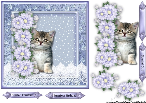 Cute Kitten purrrfect christmas & birthday