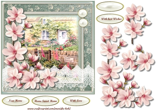 New Home & Magnolias