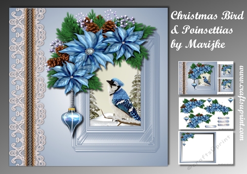 Christmas Bird & Poinsettias