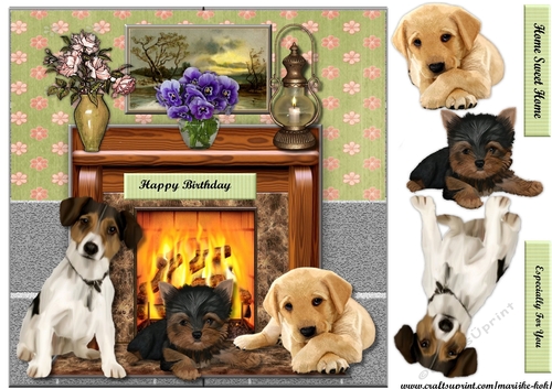 Cute Puppys & Fireplace