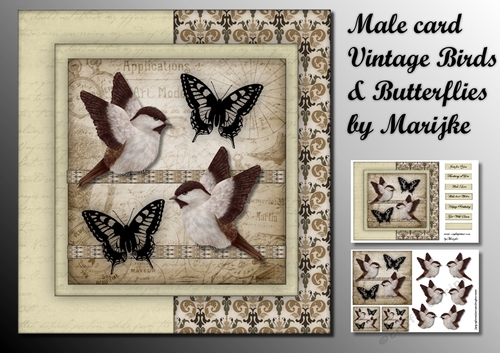 Male card Vintage Birds & Butterflies Mini Kit