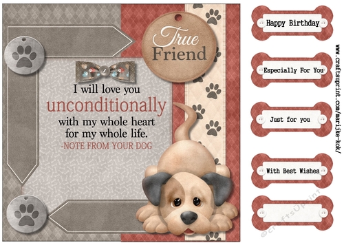Male Card True Friend