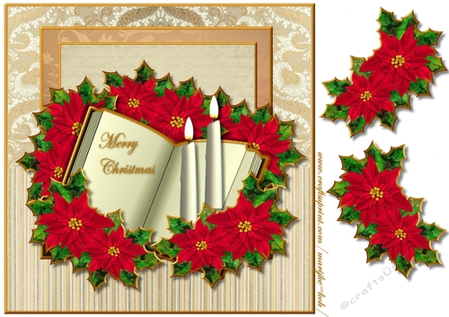 Christmas Book & Poinsettias