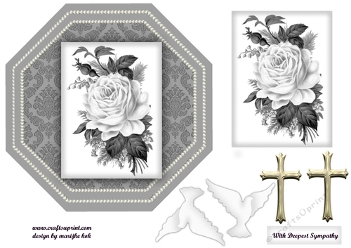 Octagon Sympathy