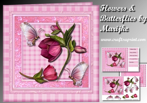 Beautiful Flowers & Butterflies Mini Kit