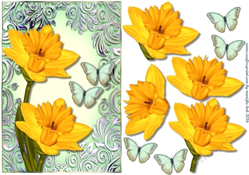 Perfect Daffodil & Butterflies