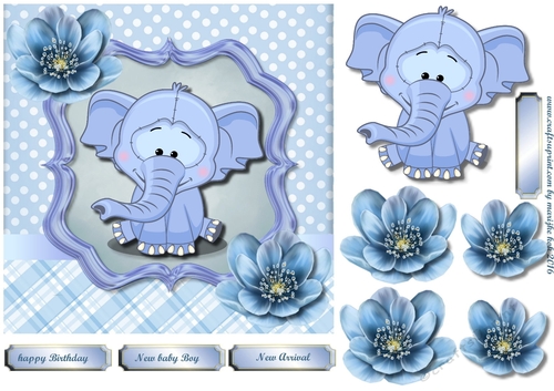 Birthday Boy (baby) Cute Elephant