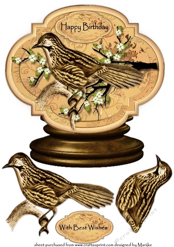 Male card Globe Vintage Birds 1