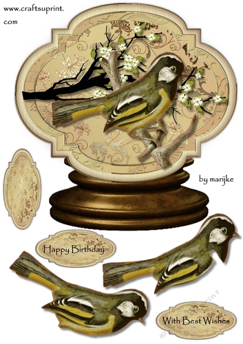 Male card Globe Vintage Birds 2