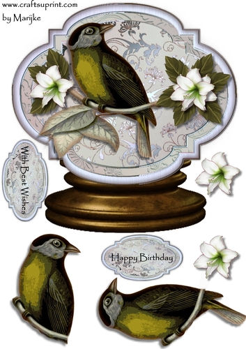 Male card Globe Vintage Birds 3