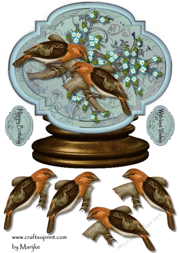 Male card Globe Vintage Birds 4
