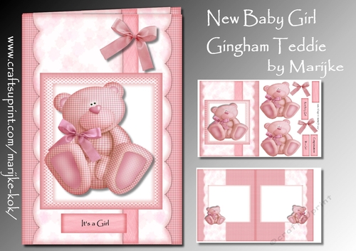 New baby Girl Gingham Teddie Mini Kit