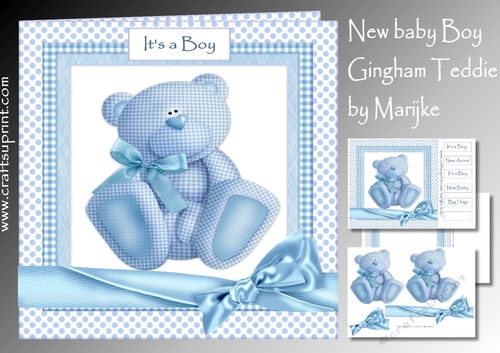 New baby Boy Gingham teddie Mini Kit