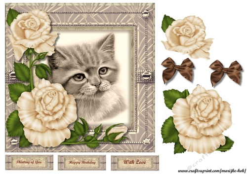 Cute Kitten & Cream Roses Quick Card