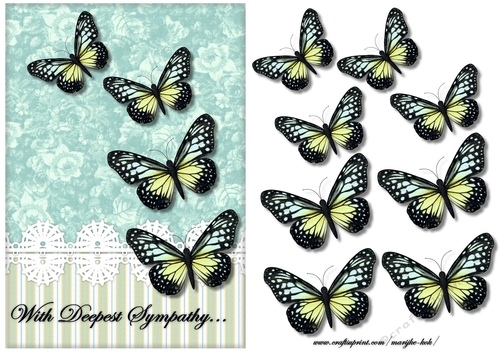 Sympathy Butterflies
