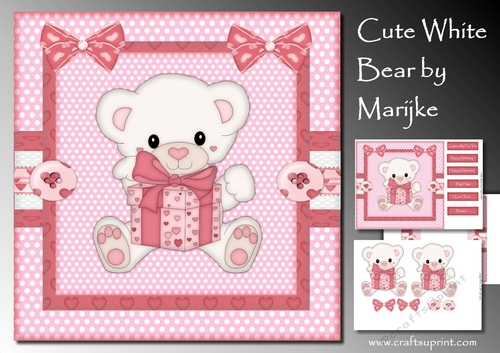 Cute White Bear Mini Kit