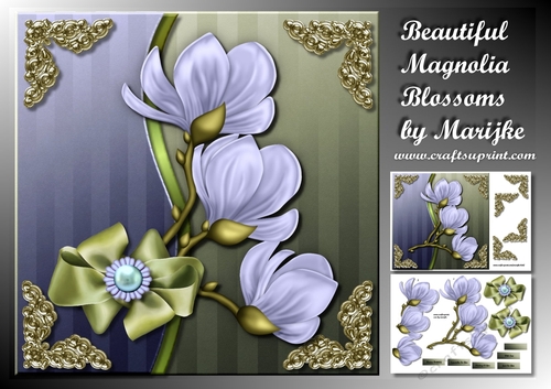 Beautiful magnolia Blossoms Mini Kit