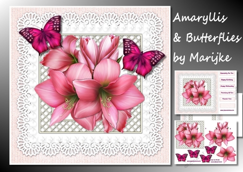 Amaryllis & Butterflies Mini Kit