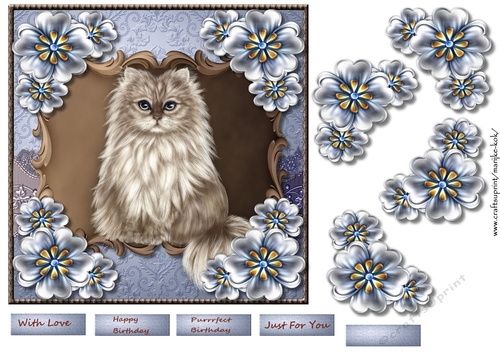 Beautiful Kitten & Flowers Quick Card