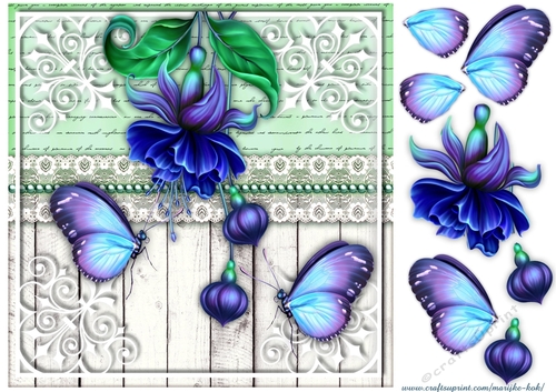 Oriental beauty Quick Card