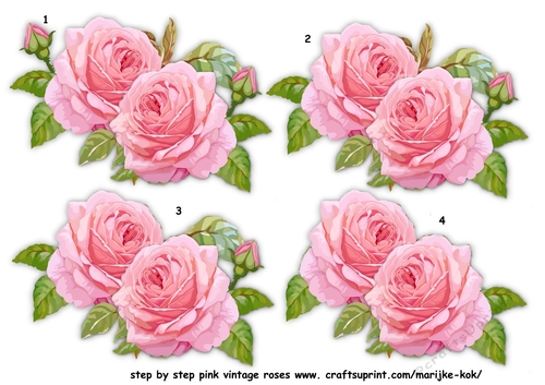 Step By Step Pink Vintage Roses
