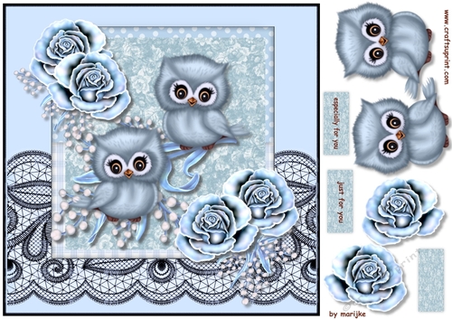 Cute baby owls