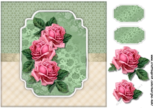 Antique Roses