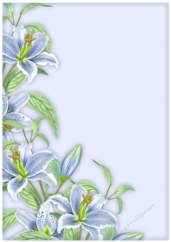 A4 Background paper Lilies Vintage