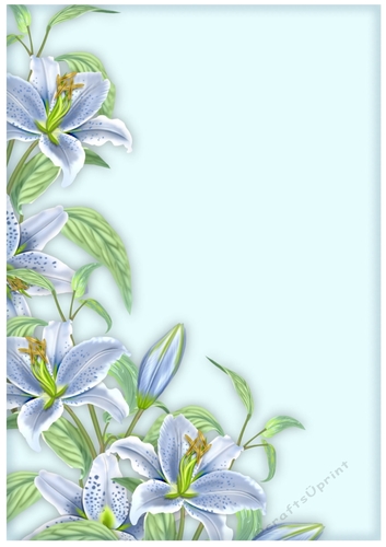 A4 Background paper Lilies Vintage 2