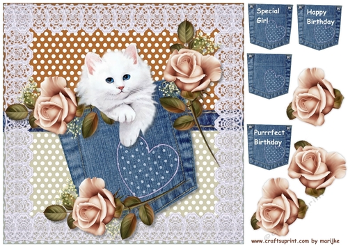 Birthday Girl Jeans ,Roses & Kitten