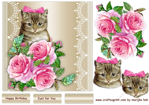 Vintage Kitten & Roses